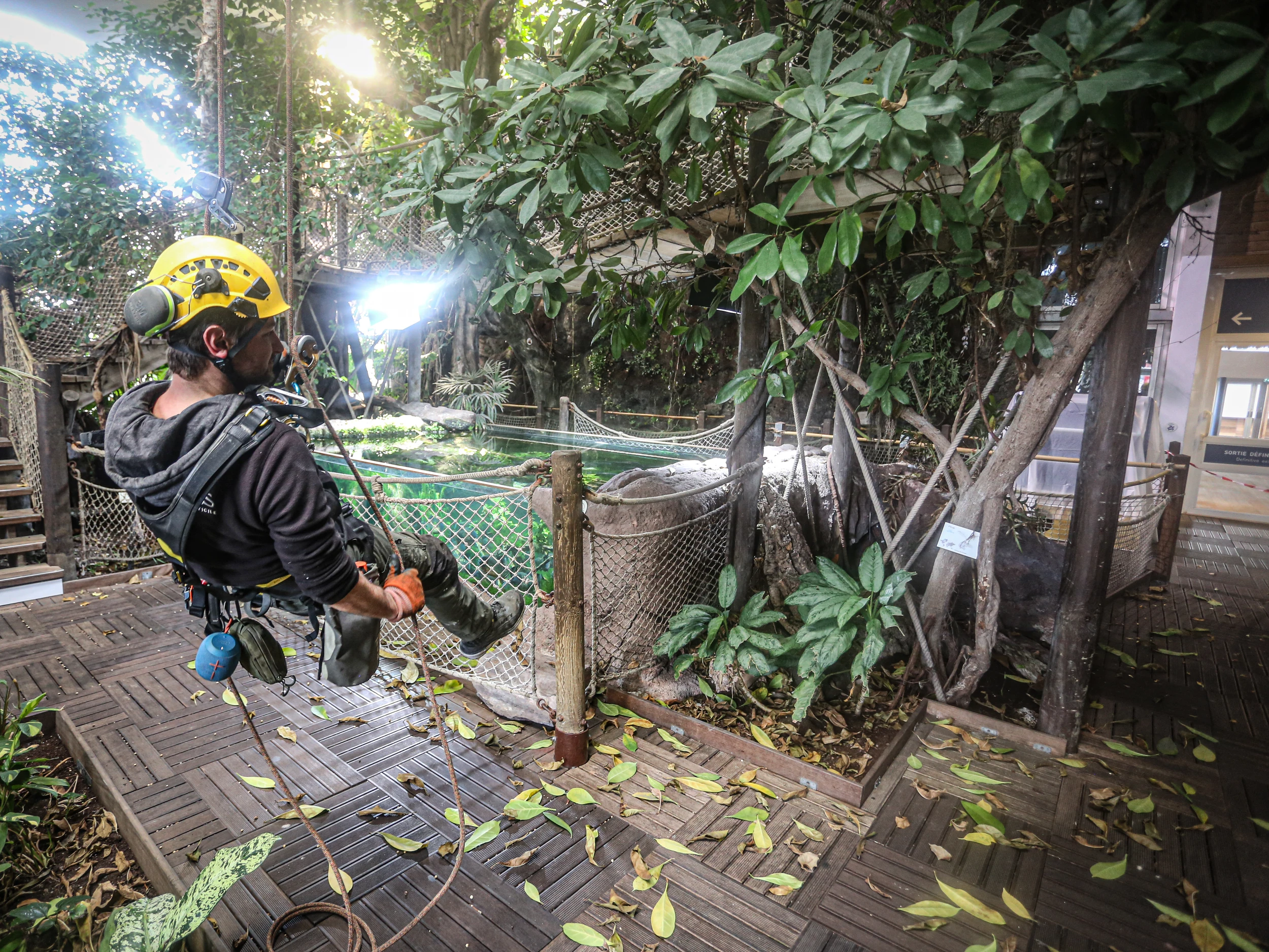 Comme un poisson dans l'eau